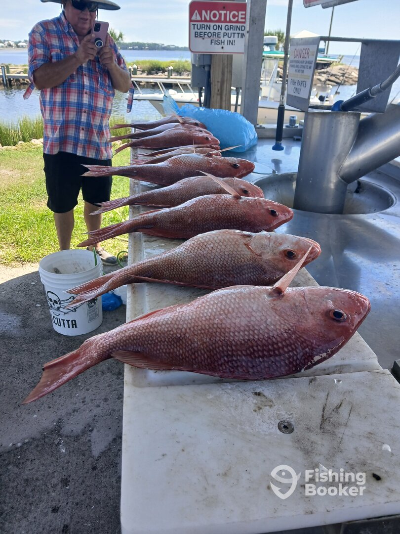 Port St. Joe Report Photo 0