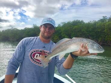 Naples Report Photo 1