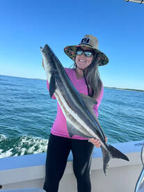 Big Pods of Cobia