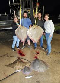 Ocean Pines Report Photo 3