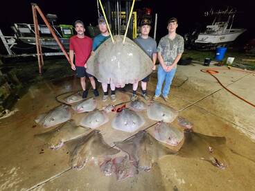4 different kinds of Rays & Skates