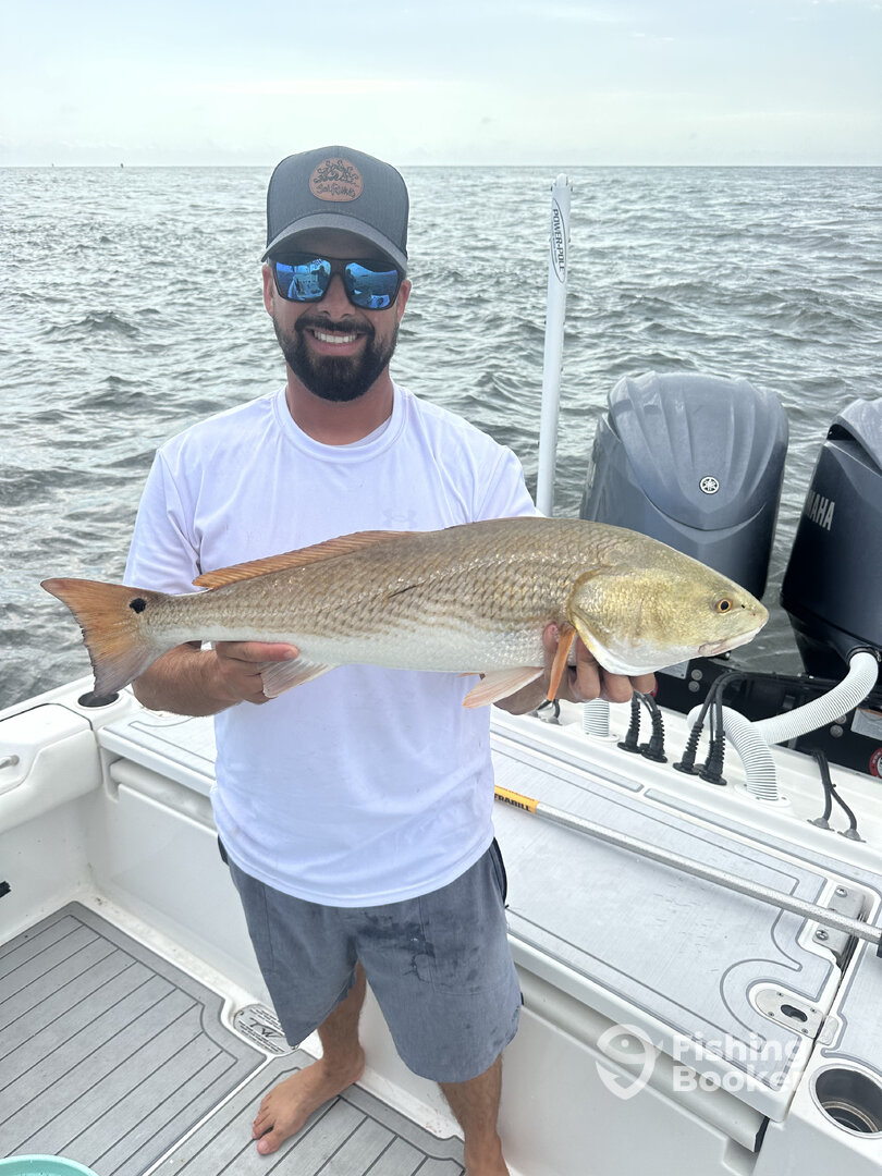 Edgewater Report Photo 0