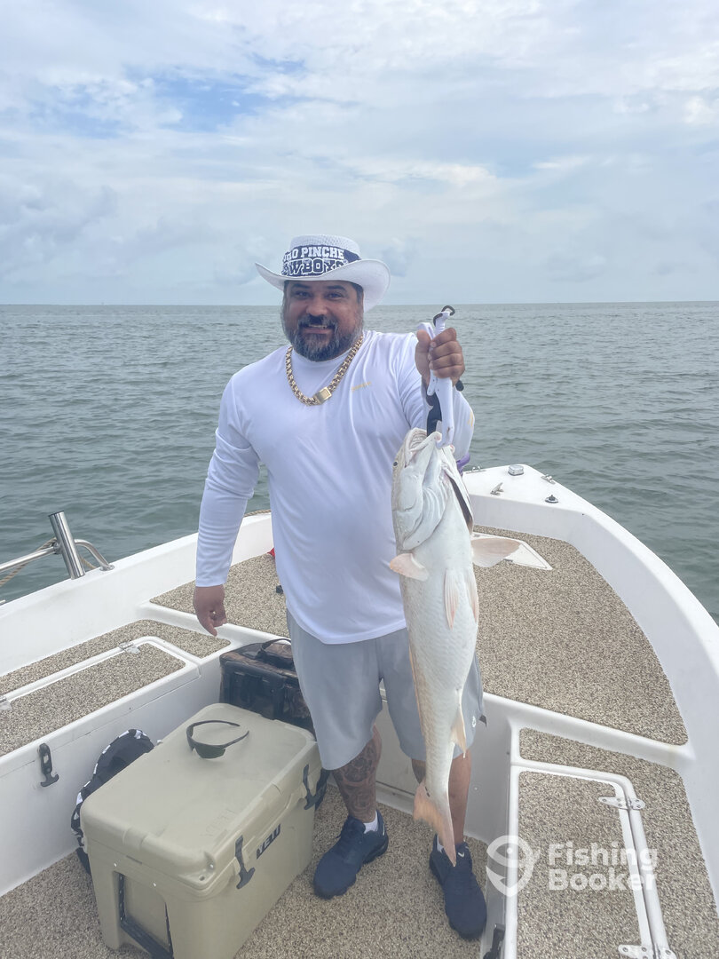 Galveston Report Photo 0