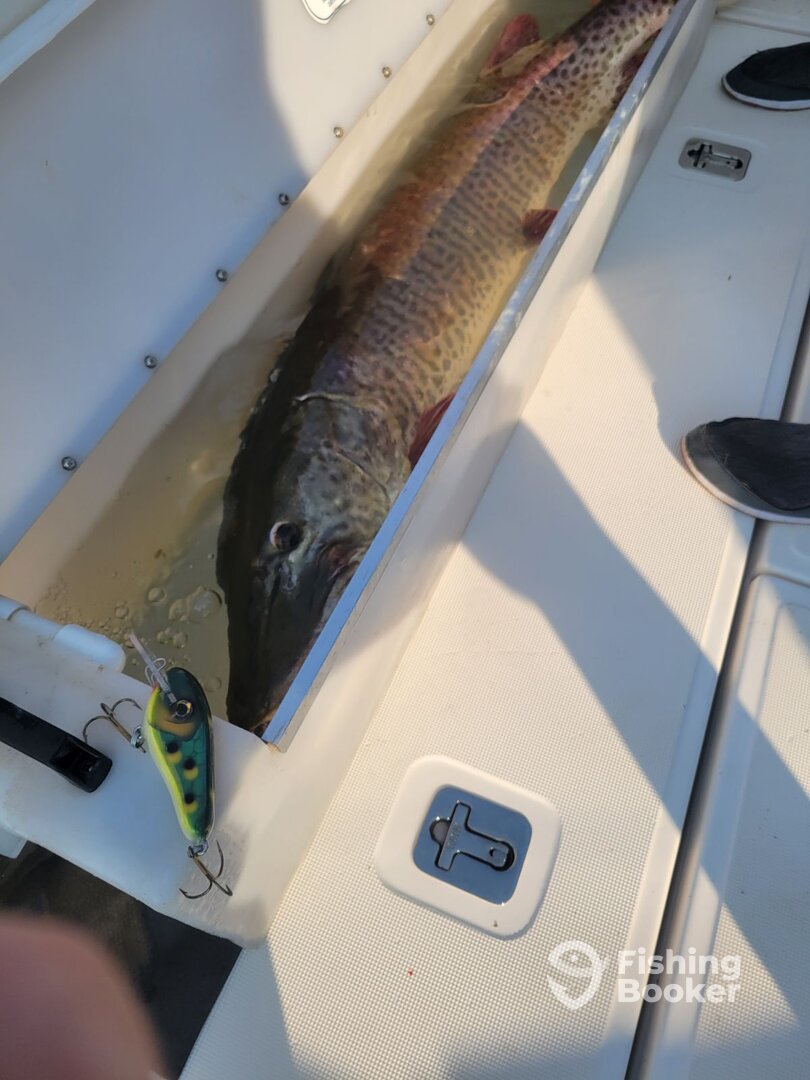 St. Clair Shores Report Photo 0