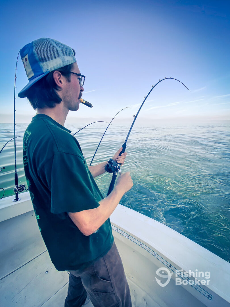 Mentor Report Photo 0