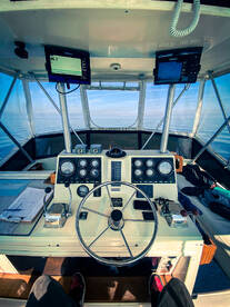 Mentor Report Photo 2