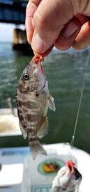 Fun in the back, due to the wind.