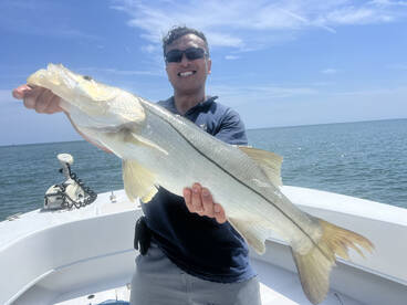 Port Canaveral Snook Fishing
