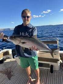 amberjack 