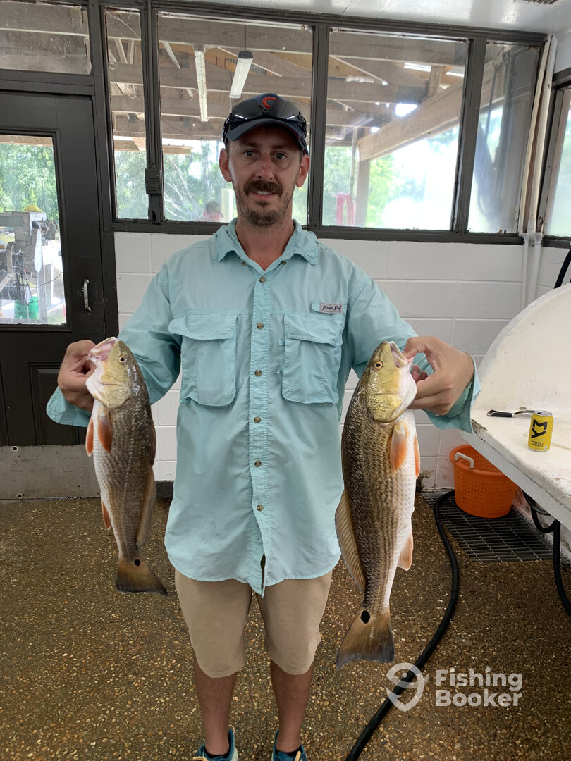 Gulf Shores Report Photo 0