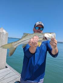 St. Petersburg Report Photo 1