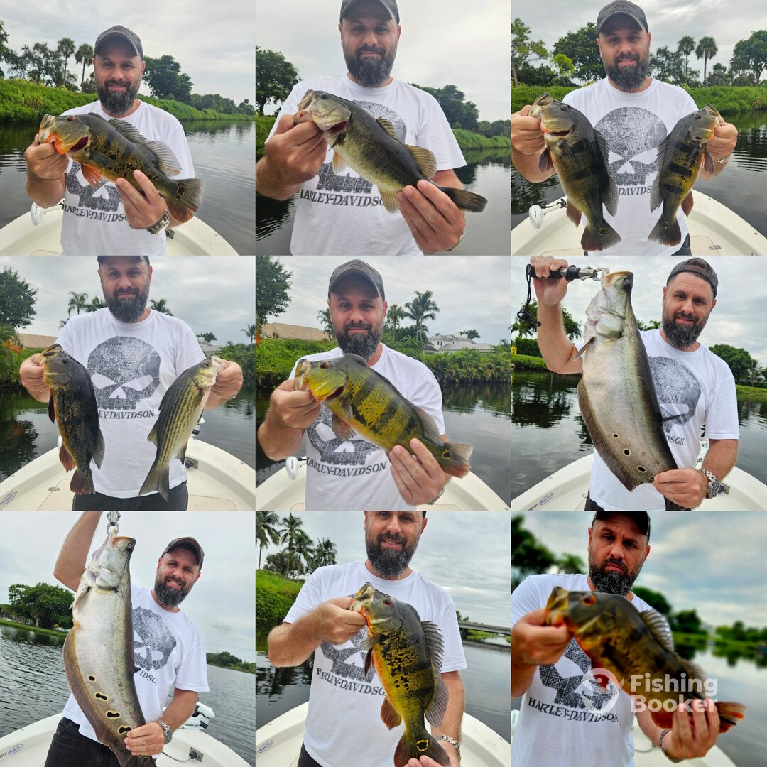 Delray Beach Report Photo 0