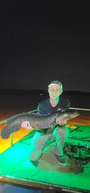 Snakehead! Dragon hunt!