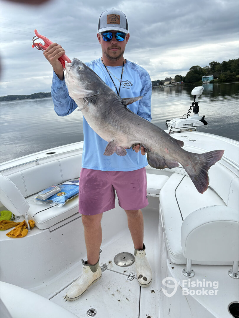 Tega Cay Report Photo 0