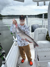 Tega Cay Report Photo 1