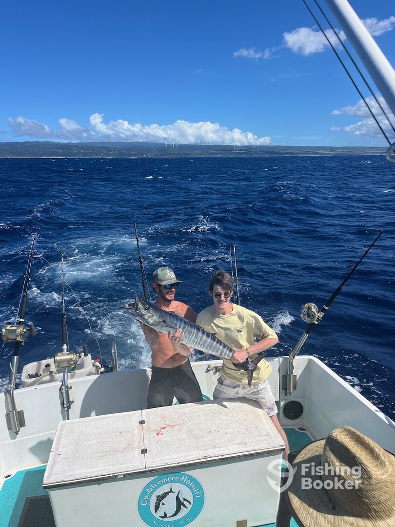 Haleiwa Report Photo 0