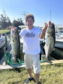 Dagsboro Report Photo 1