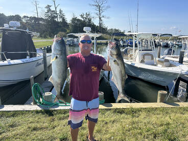 Dagsboro Report Photo 2