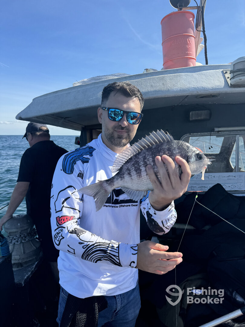 Dover Report Photo 0