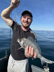 Dover Report Photo 1