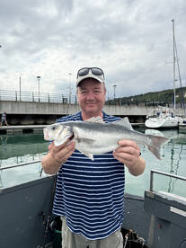 Dover Report Photo 1