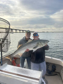 Hampton Bays Report Photo 1