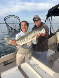 Hampton Bays Report Photo 2