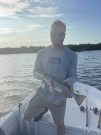 Orlando Report Photo 1