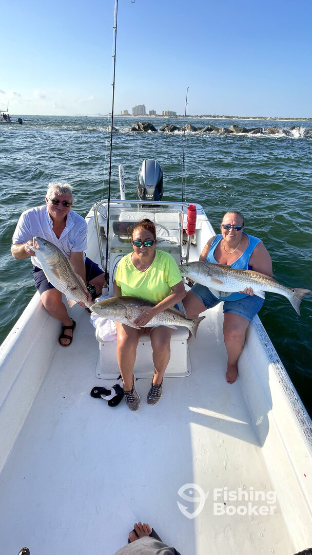 Orlando Report Photo 0