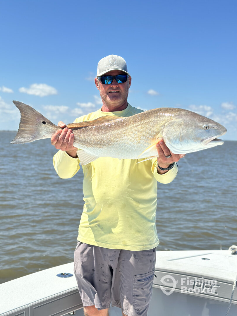 Hilton Head Island Report Photo 0