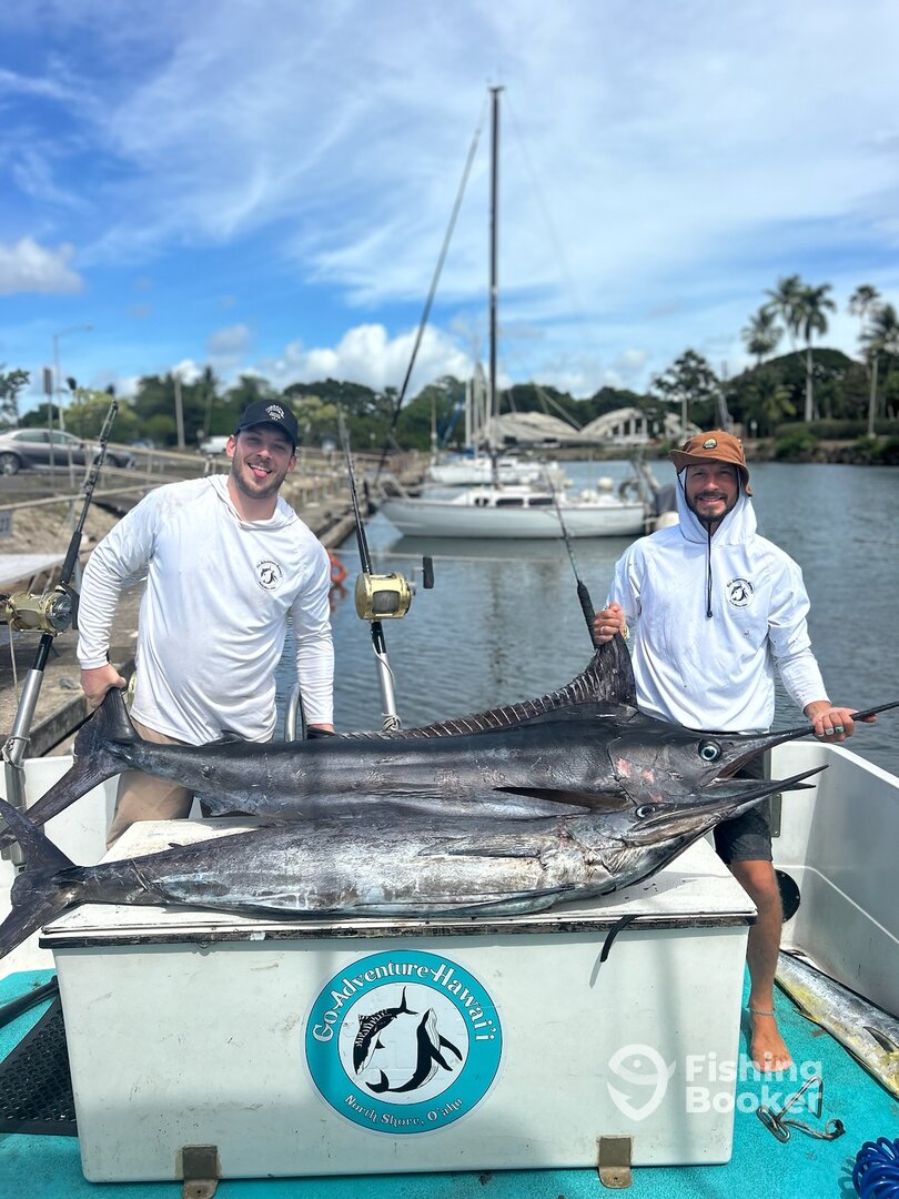 Haleiwa Report Photo 0