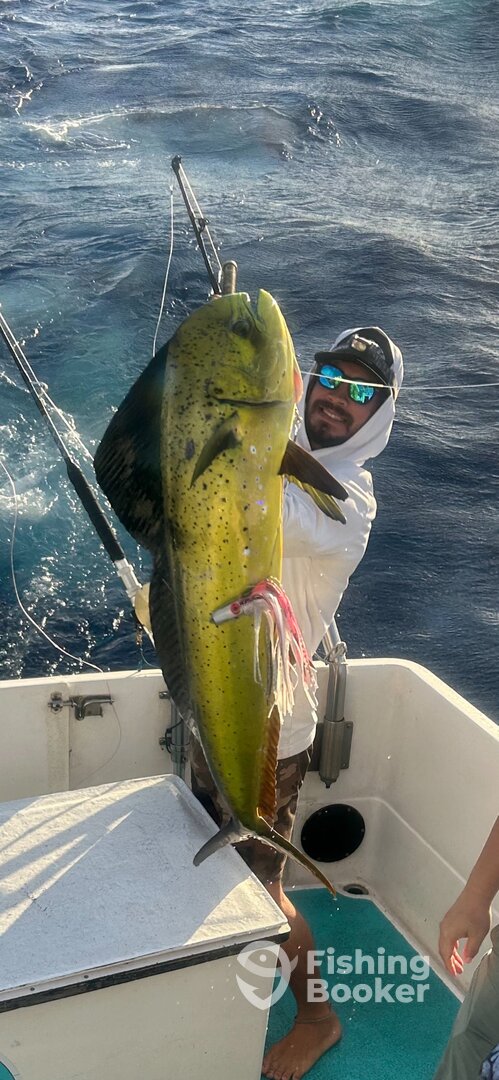 Haleiwa Report Photo 0