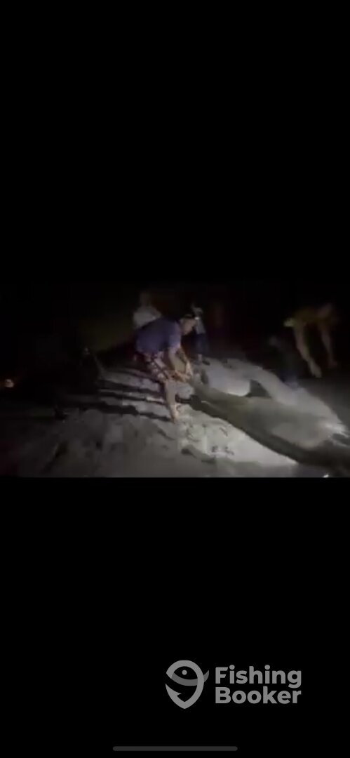 Destin Report Photo 0