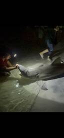 Destin Report Photo 1