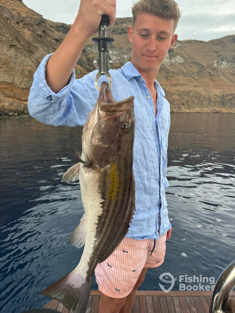 Santorini Report Photo 0