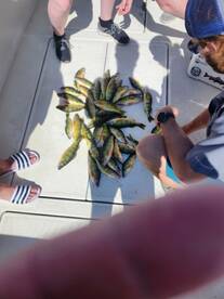 St. Clair Shores Report Photo 2