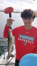 San Antonio Report Photo 2