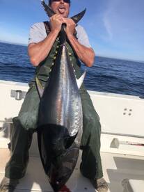 Bodega Bay Verslag Foto 2