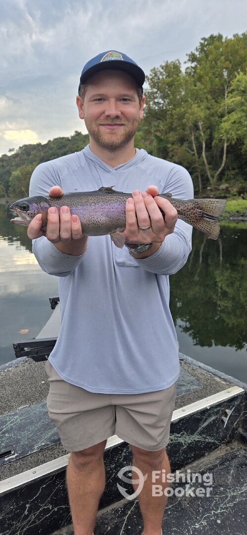 Branson Report Photo 0