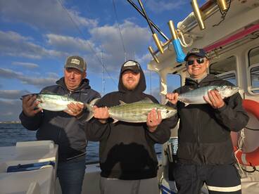 Narragansett Report Photo 1