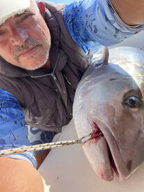 Big of the Big Amberjack