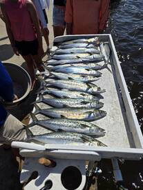 Santa Rosa Beach Report Photo 1