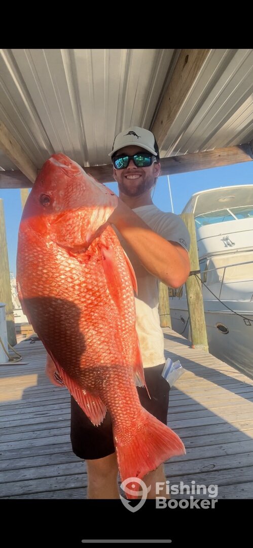 Orange Beach Report Photo 0