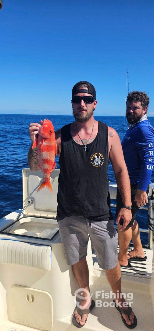 Kailua-Kona Report Photo 0