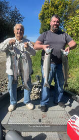 Montesano Report Photo 1