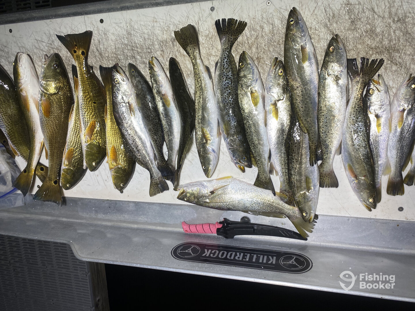 Fort Morgan Report Photo 0