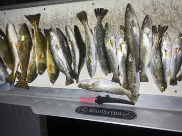 Spectacular Night Trip!