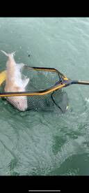 Book now fall bite is heating up 