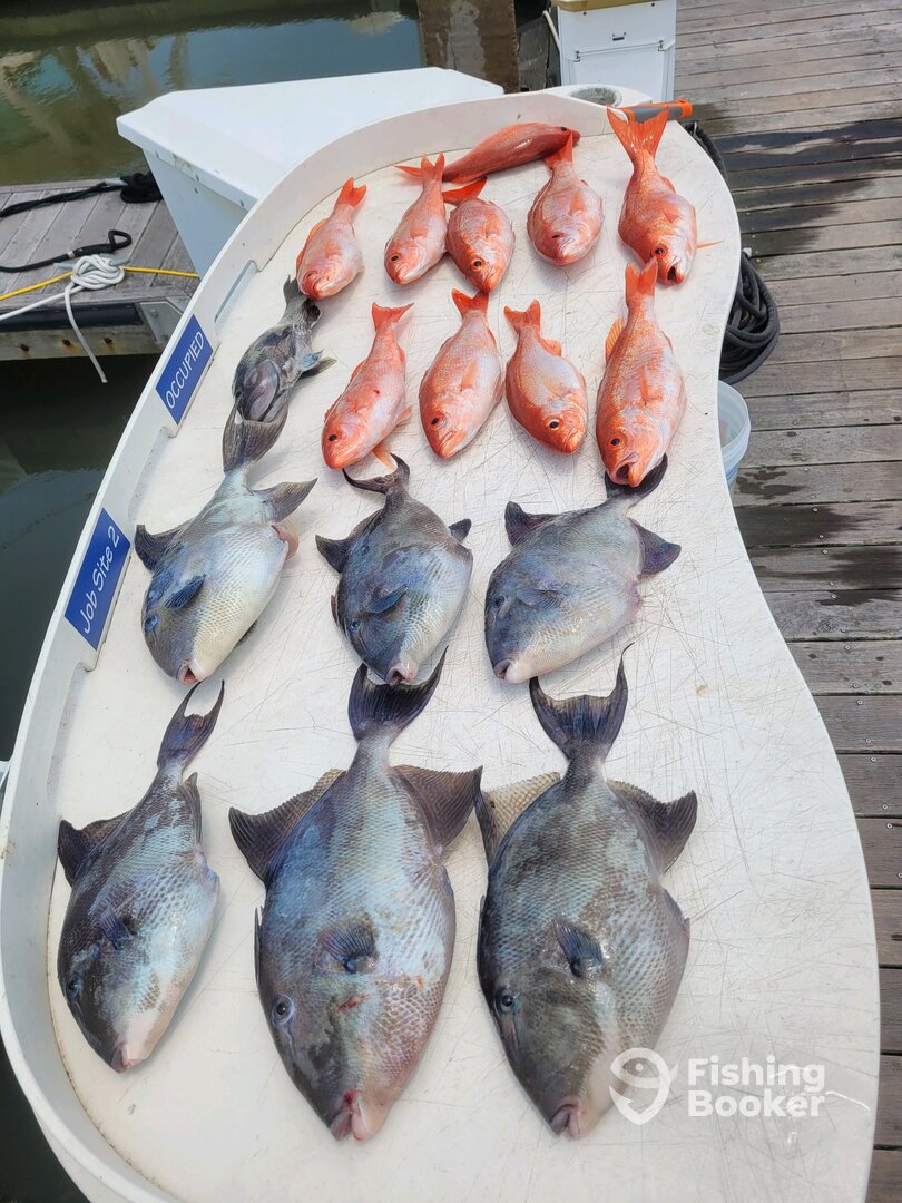 Seabrook Island Report Photo 0