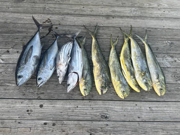 North Myrtle Beach Report Photo 2